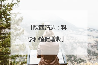 陕西靖边：科学种植促增收