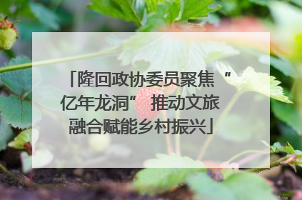 隆回政协委员聚焦“亿年龙洞” 推动文旅融合赋能乡村振兴