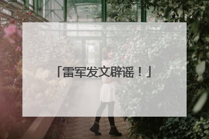 雷军发文辟谣！