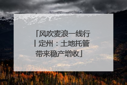 风吹麦浪一线行丨定州：土地托管带来稳产增收