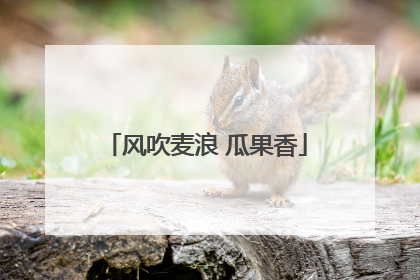 风吹麦浪 瓜果香