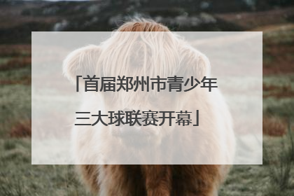 首届郑州市青少年三大球联赛开幕