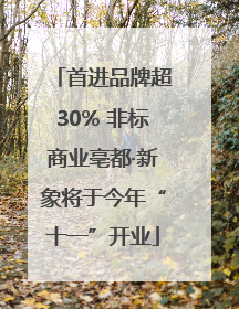 首进品牌超30% 非标商业亳都·新象将于今年“十一”开业