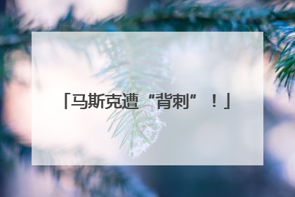马斯克遭“背刺”！