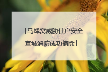 马蜂窝威胁住户安全 宣城消防成功摘除