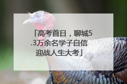 高考首日，聊城5.3万余名学子自信迎战人生大考