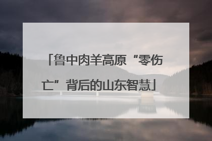 鲁中肉羊高原“零伤亡”背后的山东智慧