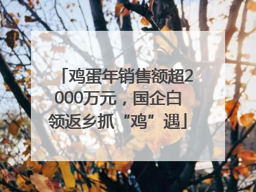 鸡蛋年销售额超2000万元，国企白领返乡抓“鸡”遇