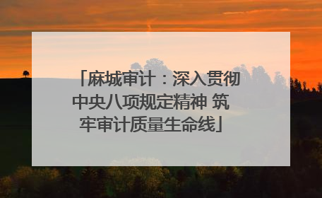 麻城审计：深入贯彻中央八项规定精神 筑牢审计质量生命线