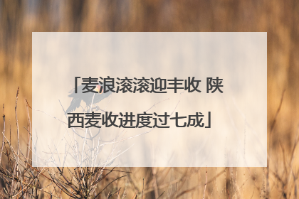 麦浪滚滚迎丰收 陕西麦收进度过七成