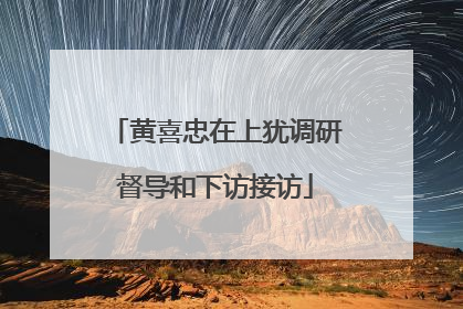黄喜忠在上犹调研督导和下访接访