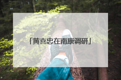 黄喜忠在南康调研