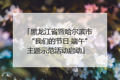 黑龙江省暨哈尔滨市“我们的节日·端午”主题示范活动启动