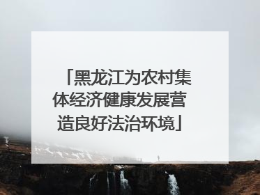 黑龙江为农村集体经济健康发展营造良好法治环境
