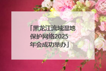 黑龙江流域湿地保护网络2025年会成功举办