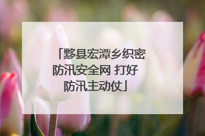 黟县宏潭乡织密防汛安全网 打好防汛主动仗