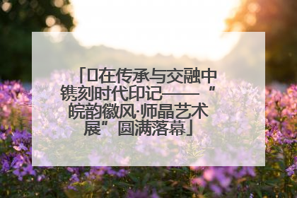 ﻿在传承与交融中镌刻时代印记——“皖韵徽风·师晶艺术展”圆满落幕