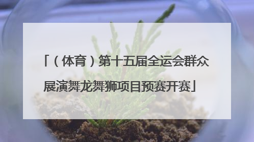 （体育）第十五届全运会群众展演舞龙舞狮项目预赛开赛
