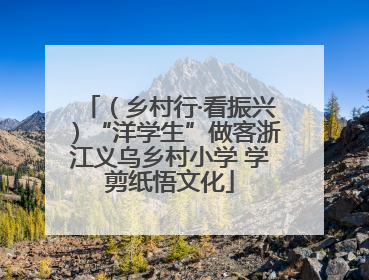 （乡村行·看振兴）“洋学生”做客浙江义乌乡村小学 学剪纸悟文化