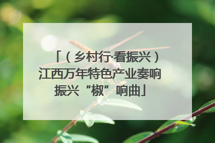 （乡村行·看振兴）江西万年特色产业奏响振兴“椒”响曲