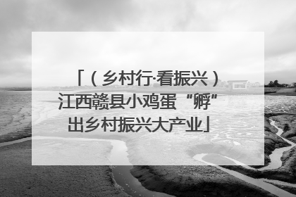 （乡村行·看振兴）江西赣县小鸡蛋“孵”出乡村振兴大产业
