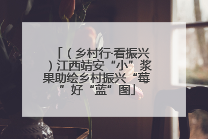 （乡村行·看振兴）江西靖安“小”浆果助绘乡村振兴“莓”好“蓝”图