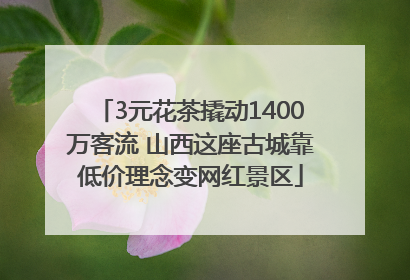 3元花茶撬动1400万客流 山西这座古城靠低价理念变网红景区