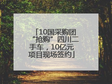 10国采购团“抢购”四川二手车，10亿元项目现场签约