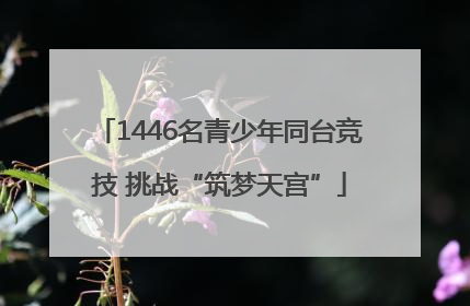 1446名青少年同台竞技 挑战“筑梦天宫”