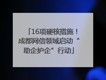 16项硬核措施！成都网信领域启动“助企护企”行动