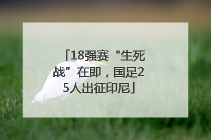 18强赛“生死战”在即，国足25人出征印尼
