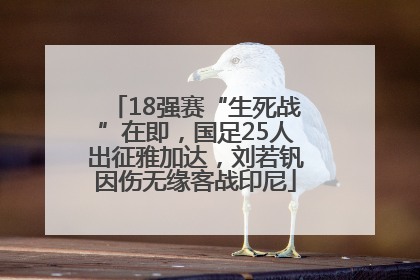 18强赛“生死战”在即，国足25人出征雅加达，刘若钒因伤无缘客战印尼