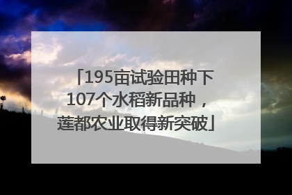 195亩试验田种下107个水稻新品种，莲都农业取得新突破