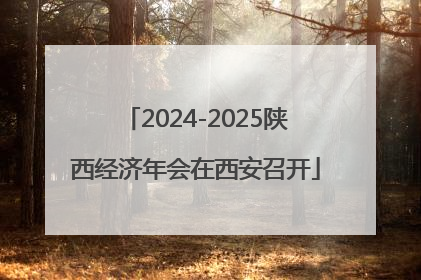 2024-2025陕西经济年会在西安召开