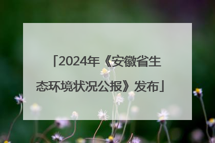2024年《安徽省生态环境状况公报》发布