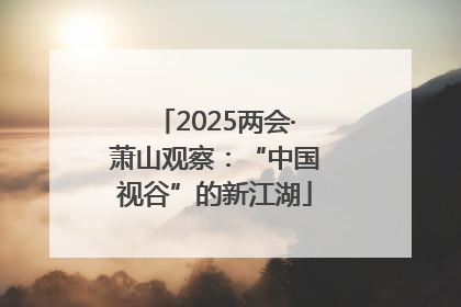 2025两会·萧山观察：“中国视谷”的新江湖