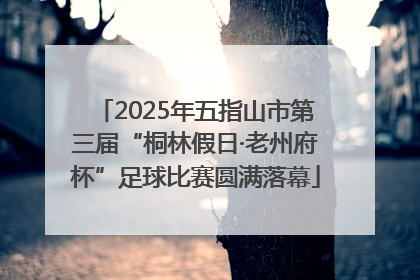 2025年五指山市第三届“桐林假日·老州府杯”足球比赛圆满落幕
