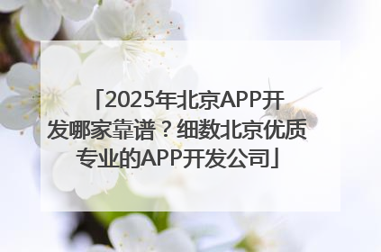 2025年北京APP开发哪家靠谱？细数北京优质专业的APP开发公司
