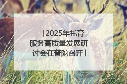 2025年托育服务高质量发展研讨会在普陀召开