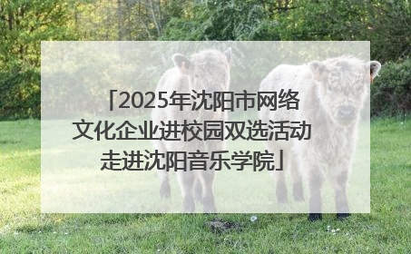 2025年沈阳市网络文化企业进校园双选活动走进沈阳音乐学院