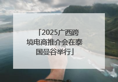 2025广西跨境电商推介会在泰国曼谷举行