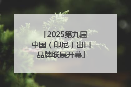 2025第九届中国（印尼）出口品牌联展开幕