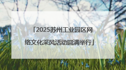 2025苏州工业园区网络文化采风活动圆满举行