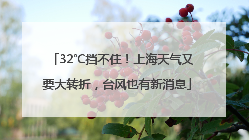 32℃挡不住！上海天气又要大转折，台风也有新消息
