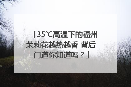 35℃高温下的福州茉莉花越热越香 背后门道你知道吗？