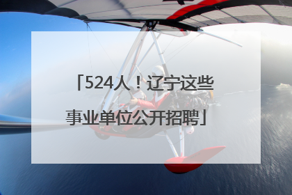 524人！辽宁这些事业单位公开招聘