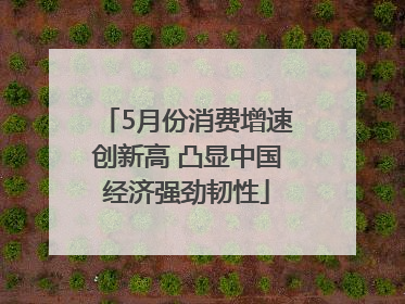 5月份消费增速创新高 凸显中国经济强劲韧性