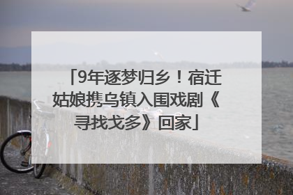 9年逐梦归乡！宿迁姑娘携乌镇入围戏剧《寻找戈多》回家