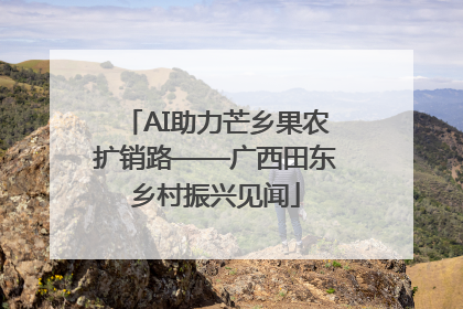 AI助力芒乡果农扩销路——广西田东乡村振兴见闻