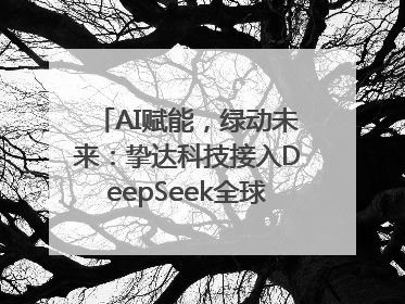 AI赋能，绿动未来：挚达科技接入DeepSeek全球化布局的新篇章